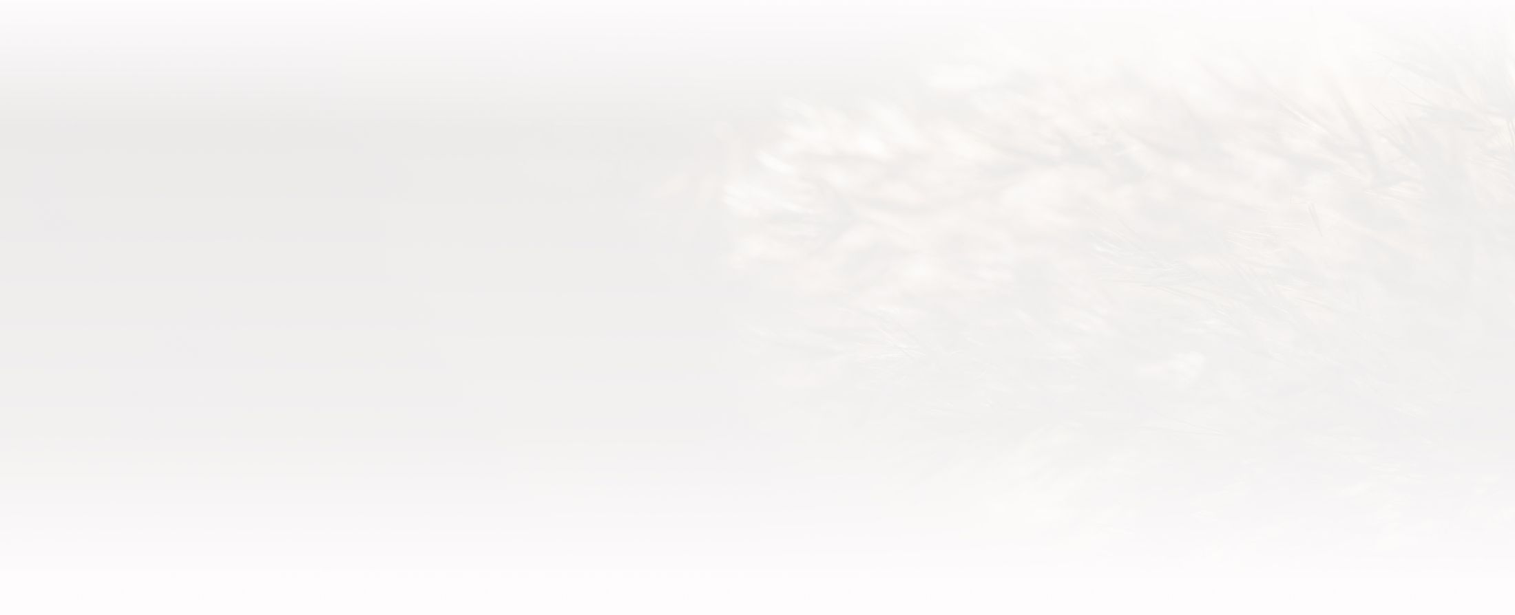 Soft blurred background with gentle texture.